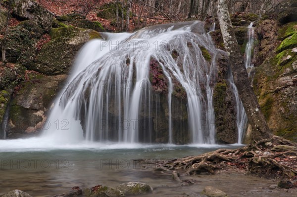 Forest waterfall, Crimea, Ukraine