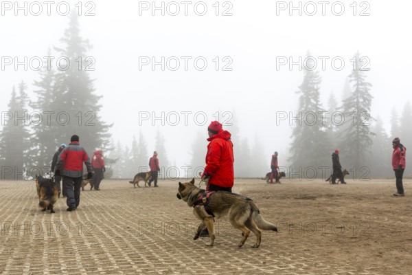 Sofia, Bulgaria - April 20, 2016: Men and their dogs at the search and rescue team at Bulgarian Red Cross are participating in a training in the foggy mountain