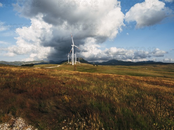 Wind turbines in a yellow field with blue skies and white clouds.