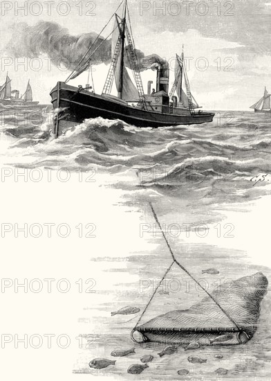North Sea fish steamer with trawl, 19th century