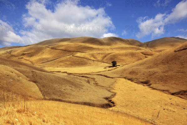 Autumn picturesque hills of California in October midday