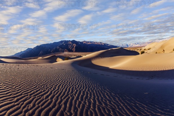 Light sand waves from the desert wind. Magic play of light on the sand. Mesquite Flat Sand Dunes is part of Death Valley in California. USA. The concept of ecological and photo tourism