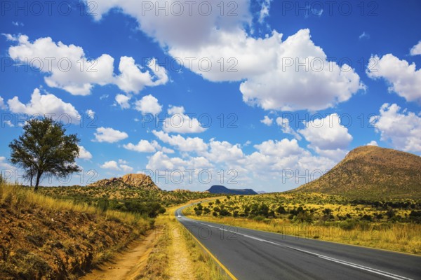 The good asphalt highway in Namibia. Low trees and autumn yellow grass of savannas