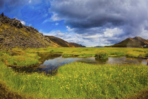 The picturesque valley in Landmannalaugar national park. Summer in Iceland. Green grass among hot springs
