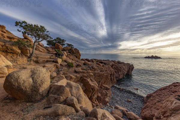 Coastal landscape with bizarre, red rocks and weathered, gnarled trees at sunset over the sea, Spiaggia di Cala E'Luas, Ogliastra, Sardinia, Italy