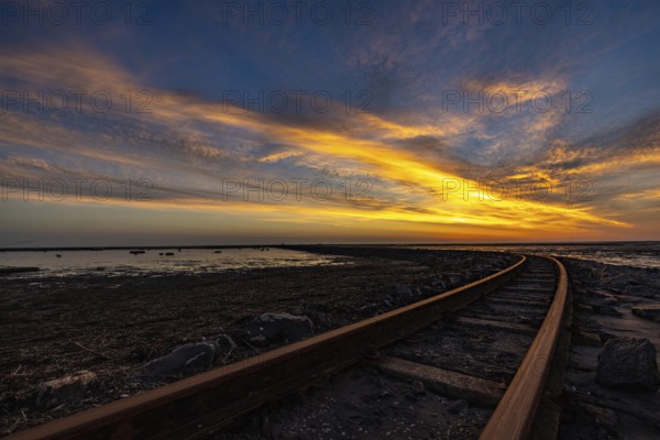 Evening at Beltringharder Koog, North Frisia, Schleswig Holstein, Germany