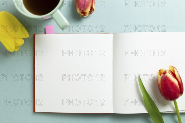 Empty note paper with tulip flowers, black coffee on mint green background. flat lay, top view, copy space