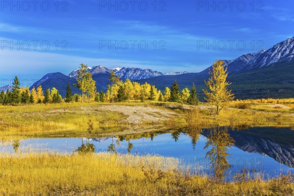 Exquisite Abraham Reservoir Lake with turquoise water. Warm September in the mountains of Canada. On coast of the lake autumn multi-color woods. Concept of ecological and active tourism