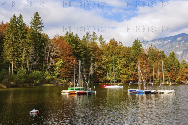 Slovenia. Sailing yachts and motor boats. Magnificent lake with clear water is surrounded by dense forests. Bohinj is an alpine lake in the Julian Alps