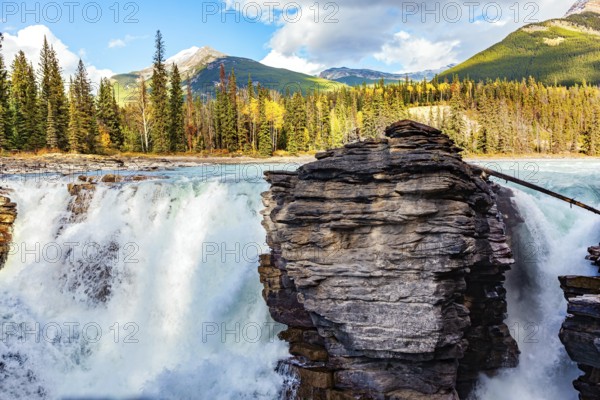 Magnificent rock divides thundering Athabasca Falls. Athabasca Falls is the most powerful waterfall in Alberta. Jasper Park. Canadian Rockies. Picturesque forest illuminated by sunset