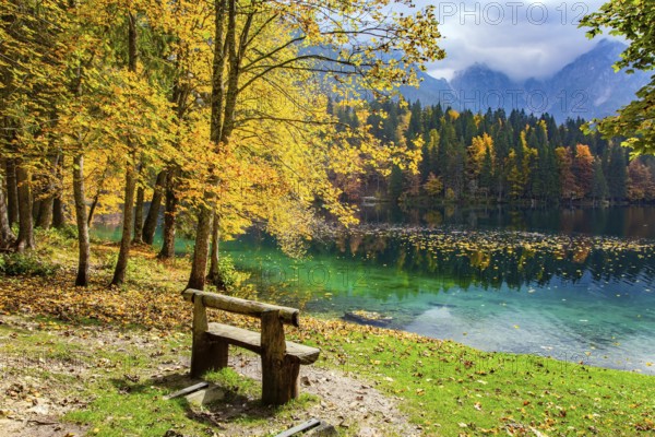 Picturesque wooden bench on the lake. The bright colors of the autumn forests are reflected in the icy water of the lake. Mountains covered in morning mist. The Lago Fusine