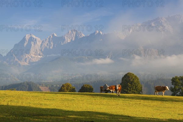 On a farm in the high mountains in Austria
