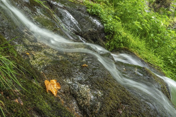 Waterfall of fresh water in the mountain in autumn. Alsace, France