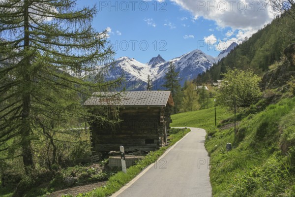 On 28 May 2025, a large section of the Birch Glacier collapsed under the additional load of around nine million tonnes of rockfall material from the Kleine Nesthorn. The resulting avalanche of ice and debris buried around 90 per cent of the village of Blatten. Lötschental, Valais, Switzerland