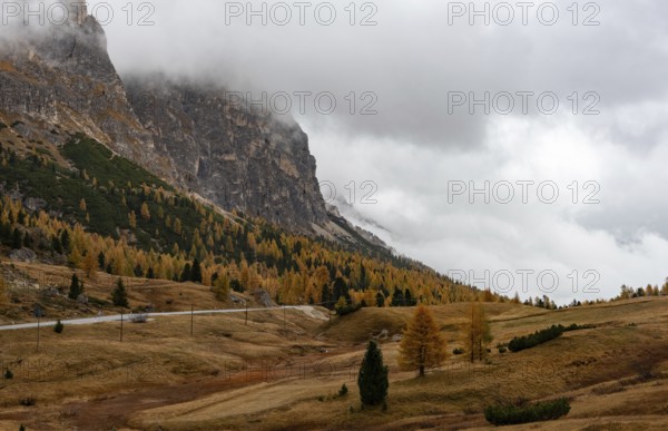 Autumn forest landscape at Passo Falzarego valley. Dolomite mountain range Italy. Fall season Italian apls