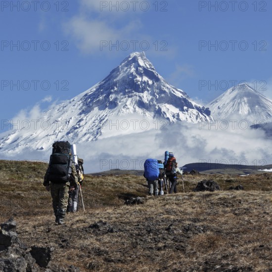 Hiking on Kamchatka Peninsula: group of tourists and travelers with backpacks behind the shoulders climbing to mountains on background of rocky Klyuchevskaya group of volcanoes on sunny day. Kamchatka Peninsula, Russian Far East