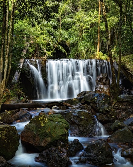 A serene waterfall cascades over rocks surrounded by lush greenery in a tropical forest, landscape, nature, mountain, waterfall, jungle, Vietnam, phu quoc, Suoi Tranh Waterfall, water
