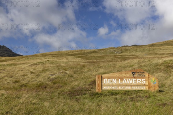 Ben Lawers National Nature Reserve, nature reserve on the second highest mountain, Highlands, Scotland, Great Britain