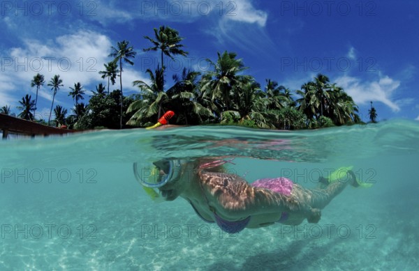 Snorkelling off Maldives Island, Maldives, Indian Ocean, Medhufushi, Meemu Atoll