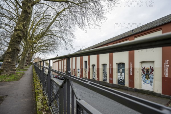 Street scene with trees, artistically painted houses and a fence in the foreground, old paper factory in Wuppertal