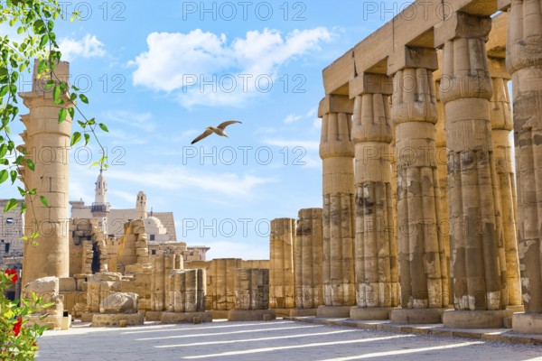 Seagull flying over the hall in Luxor temple
