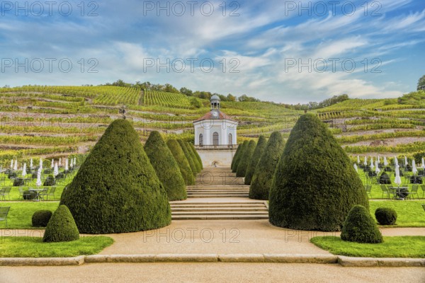 Belvedere Schloss Wackebarth, baroque gardens, Saxon State Winery, Oberlößnitz, Radebeul, Saxony, Germany