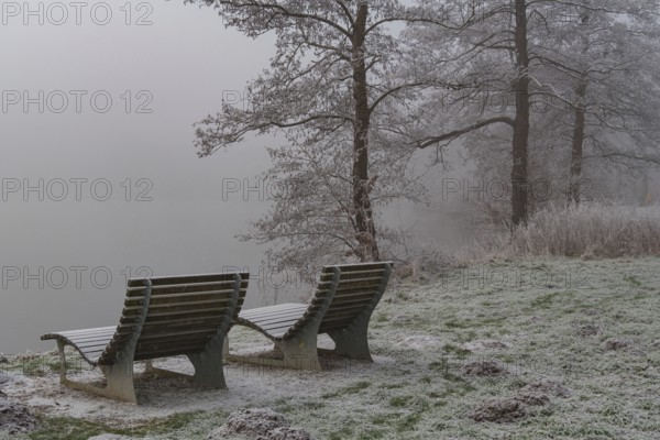 Two wooden benches on a frosty bank with misty trees creating a calm and cold winter landscape, Borken, Münsterland, Germany