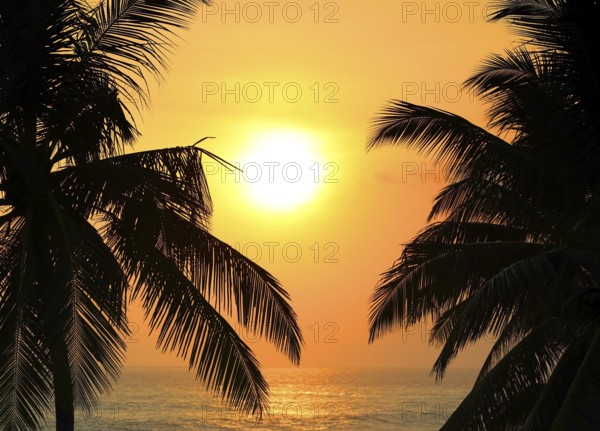 Beautiful landscape with tropical sea sunset and palm trees on foreground
