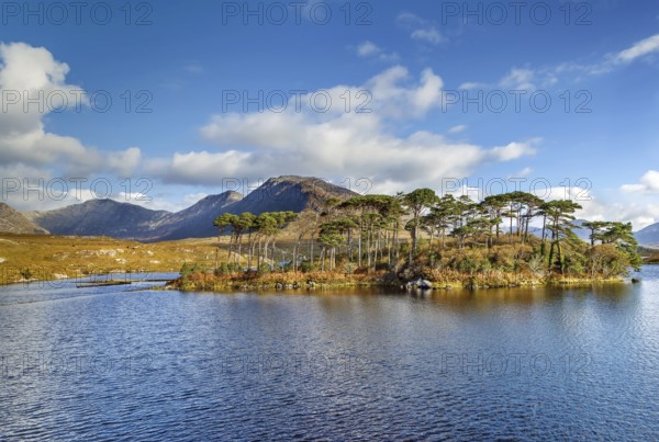 Landscape with lake from Pines Island Viewpoint in Galway county, Ireland