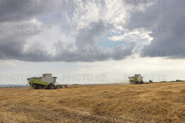 Combine harvester working on a wheat field. Harvesting wheat