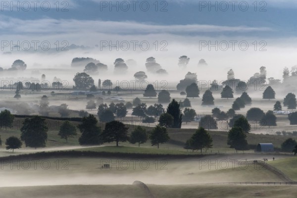 Great pasture landscape in the early morning in Matamata, North Island of New Zealand