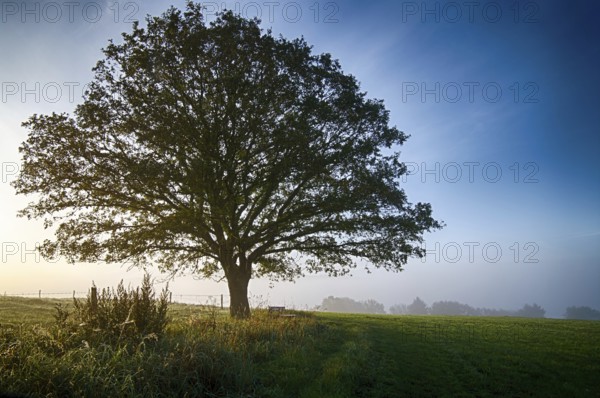 Autumn landscape in central Germany