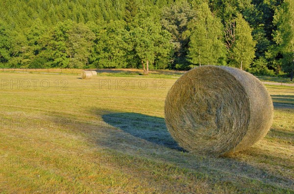 Evening mood over a summer landscape