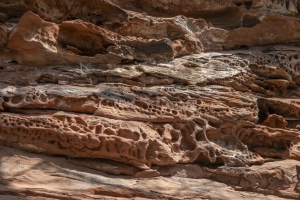 Detail of the Geiersteinfelsen, Geierstein, sandstone, Palatinate Forest, Bruchweiler-Bärenbach, Rhineland-Palatinate, Germany