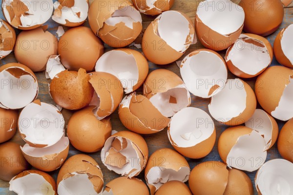 Broken chicken empty brown eggshels background