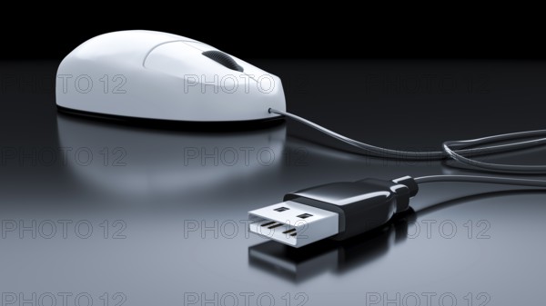 An image of a typical computer mouse