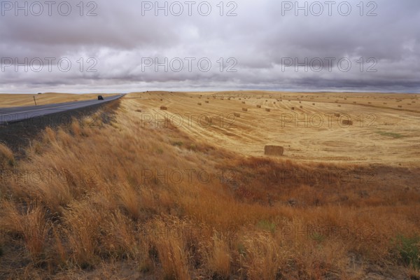 Big highway among autumn fields after harvesting. The cloudy sky and the big stacks of wheat