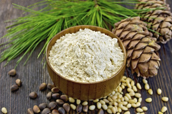 Flour cedar in a wooden bowl, cedar nuts and two cones, cedar branch with green needles on the background of dark wood planks