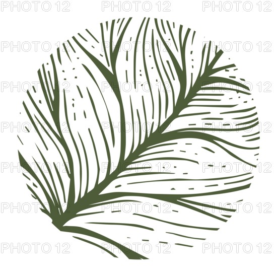 Abstract eco theme, circle with leaf veins over white