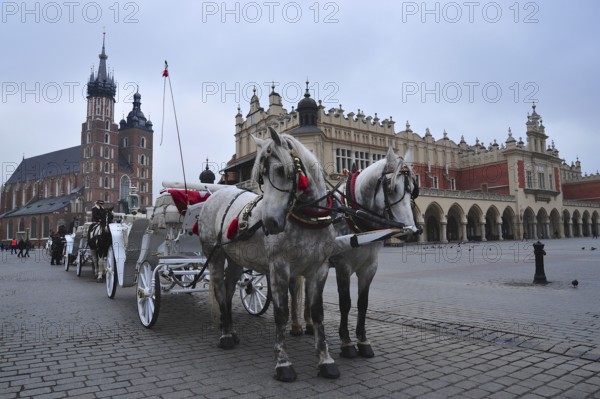 Horse and cart on the main market square in Krakow