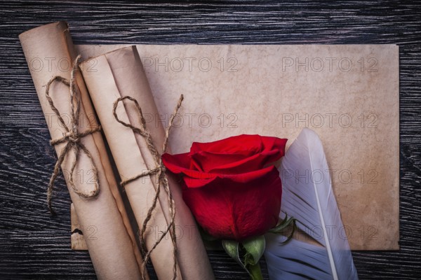 Vintage paper rolls red natural rose on wooden background