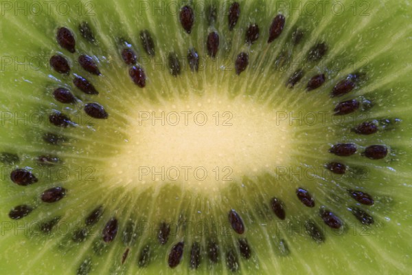 Kiwi, kiwifruit, fruit, kiwi fruit, fruits, Chinese gooseberry, (Actinidia deliciosa), slices, halved, halved, New Zealand New Zealand