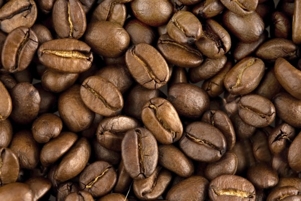 Freshly roasted coffee beans, coffee, drink, food, studio shot, Federal Republic of Germany