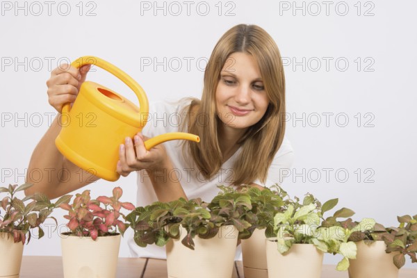 Young girl Europeans care and watering potted plants Fitton