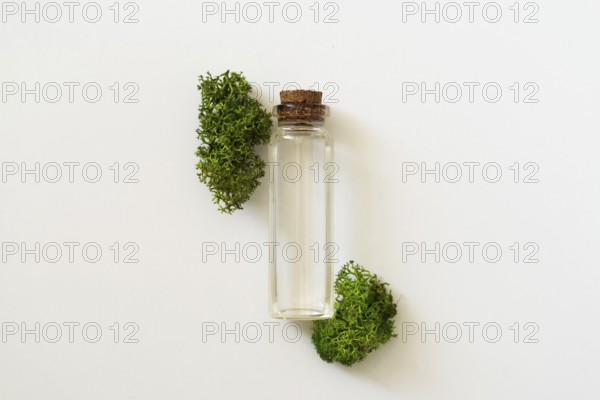 Sea moss personal care. Glass cork bottle with transparent serum and sea moss on white background. Ingredient for skincare.