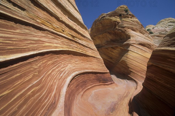 USA, Arizon, The Wave, Paria-Vermillion Wilderness, North Coyote Buttes, sandstone formation, North Coyote Buttes, Arizona, USA