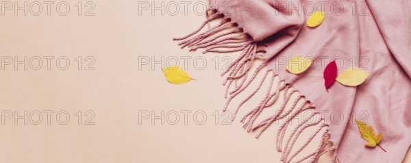 Pink cozy scarf with tassels and scattered leaves on pastel banner