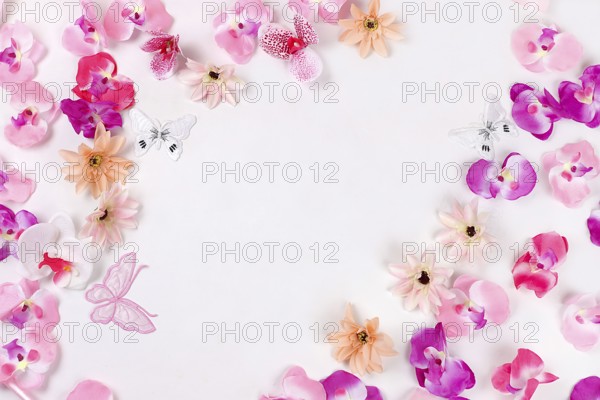 Holiday concept with flowers, spring or summer composition, still life, banner, delicate orchid flowers flat lay. Greeting card for mothers day, womens day, lovers day, happy birthday, wedding