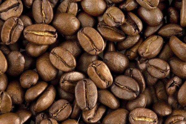 Freshly roasted coffee beans, coffee, beverage, food studio shot, Federal Republic of Germany