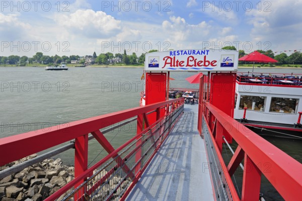 Pedestrian bridge to Restaurant Schiff, Rhine, Rheinallee, Königswinter, Königswinter, Rhineland, North Rhine-Westphalia, North Rhine-Westphalia, Germany